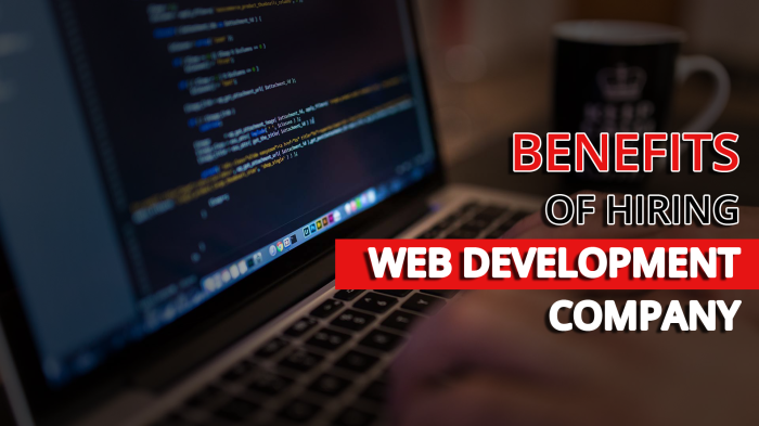 benifits of hiring web development company